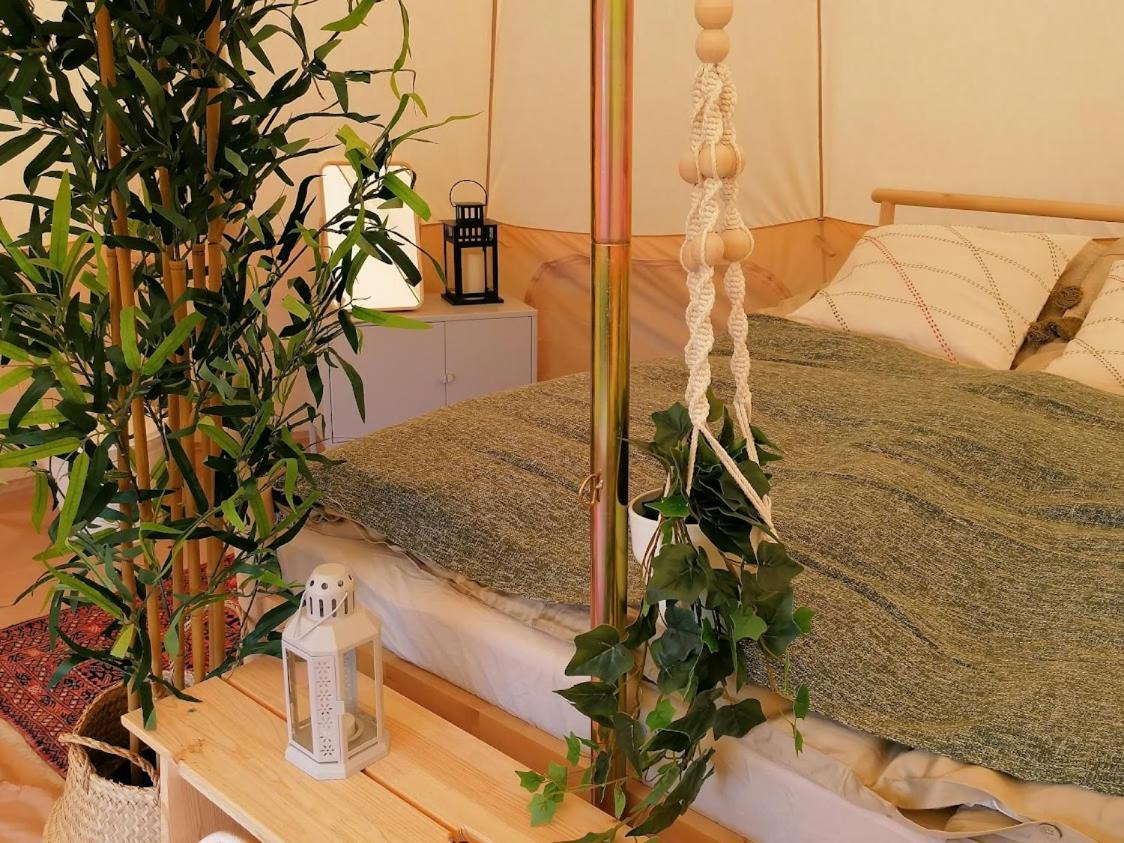 Gjøl Guesthouse Gjoel מראה חיצוני תמונה